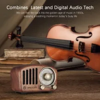 Klasik müzik temalı keman ve ceviz hoparlör