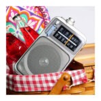 Panasonic Taşınabilir FM Radyo, Pille Çalışan Analog Radyo, AC Destekli, Gümüş (RF-2400D) - Görsel 2