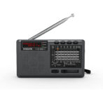 XHDATA D368 Taşınabilir Transistör Radyo Küçük FM/AMMW/SW Mini Radyo Bluetooth USB TF