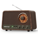 Audiocrazy Vintage AM/FM Radyo Bluetooth Özellikli Hoparlör