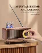 COLSUR Retro Bluetooth Hoparlörlü Vintage FM Radyo - Görsel 3