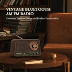 Audiocrazy Vintage AM/FM Radyo Bluetooth Özellikli Hoparlör - Görsel 4